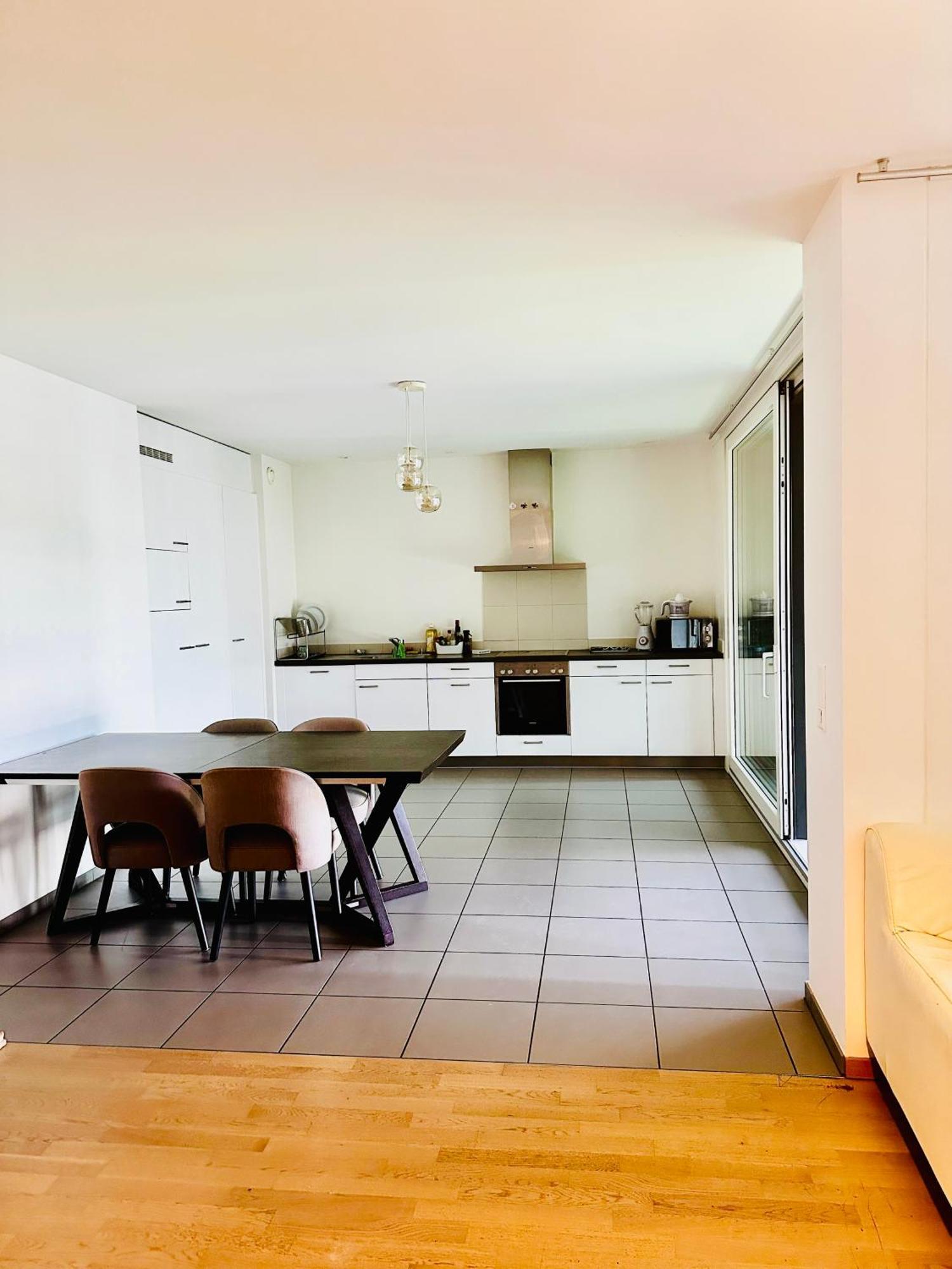 Apartment Magnifique, 2 A 8 Minutes A Pieds Du Jet D'eau! Geneva