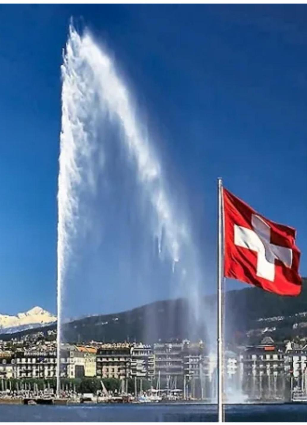 Magnifique, 2 A 8 Minutes A Pieds Du Jet D'eau!